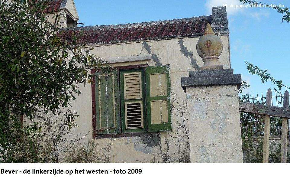 17. Bever linkerzijde op het westen 2009